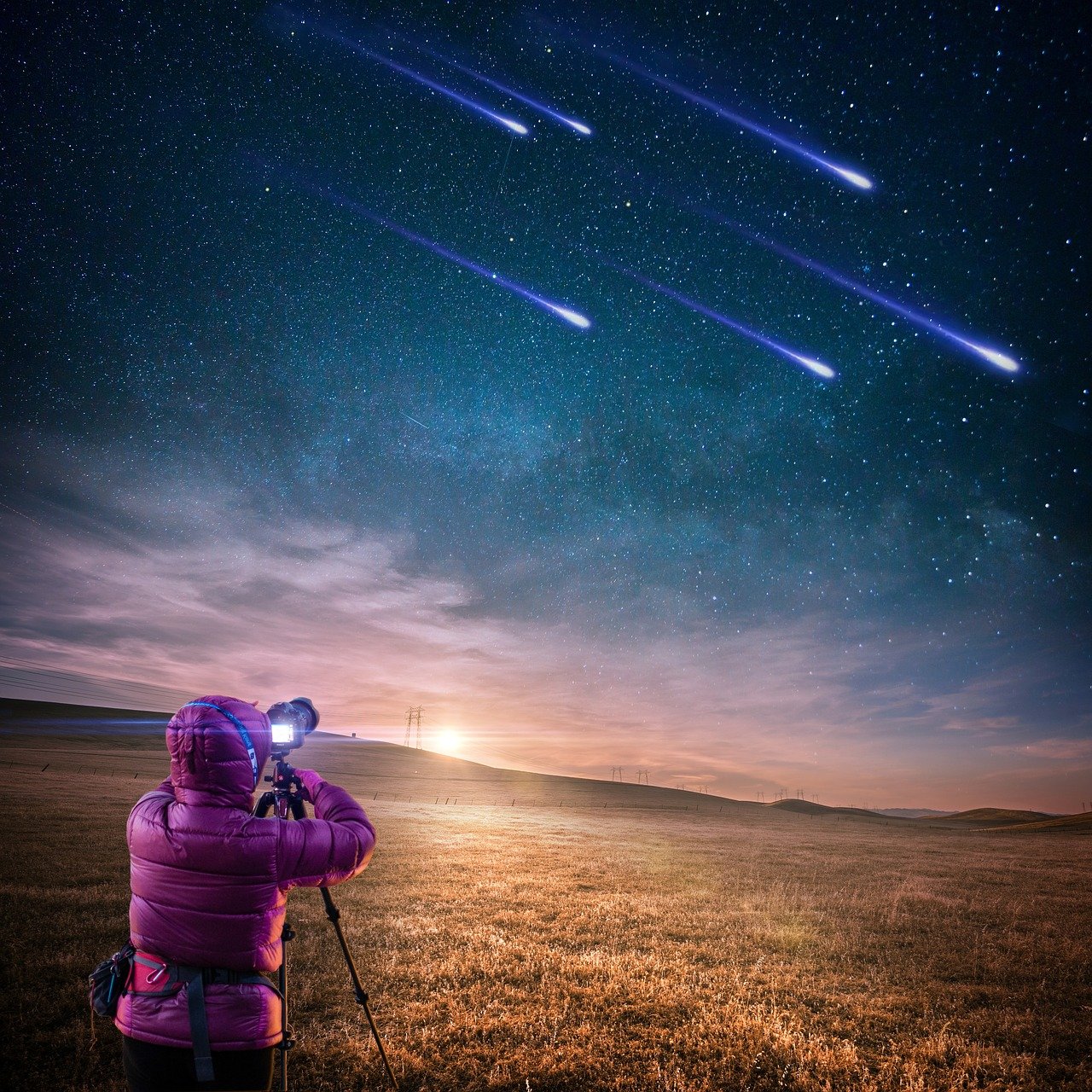 五月林玉明星，璀璨星光闪耀世界